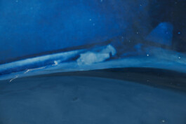 Francesco Albano, The Weakest, Most Insignificant Wind is a Tornado 7