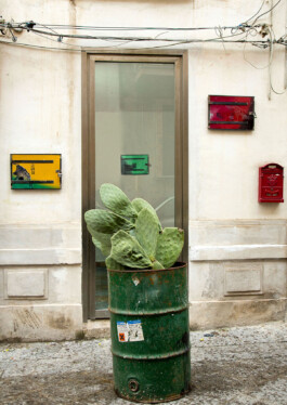 Mirak Jamal, In Praise of Limeston, L'Ascensore, Palermo